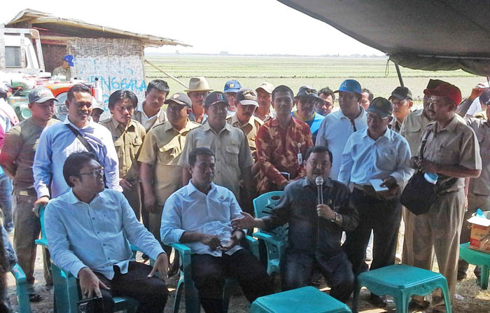 Legislator: Mentan Bekerja Keras, Petani pun Optimis Tingkatkan Produksi Pertanian